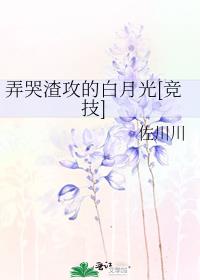 弄哭渣攻的白月光[竞技]